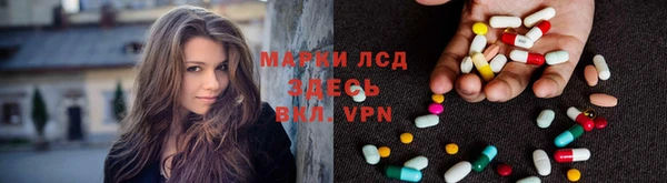 эйфоретик Алзамай