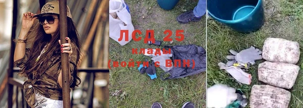 эйфоретик Алзамай