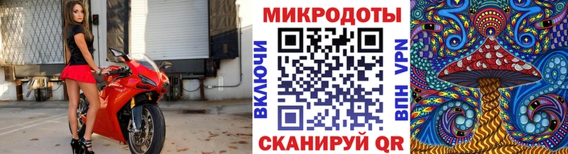 Псилоцибиновые грибы прущие грибы  Черногорск 