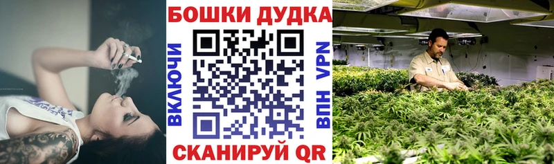 Каннабис OG Kush Черногорск